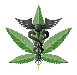 Medical-Marijuana2